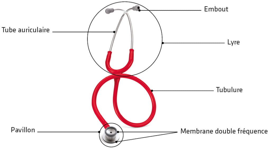 Composition d'un stéthoscope : embout, lyre, tube auriculaire, tubulure, membrane de fréquence, pavillon