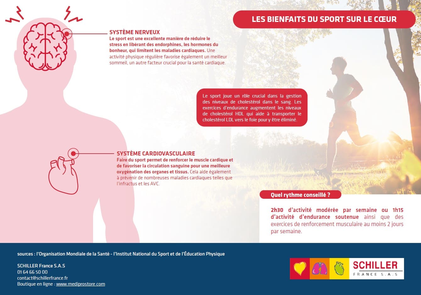 Infographie résumant les bienfaits du sport sur le cœur. 